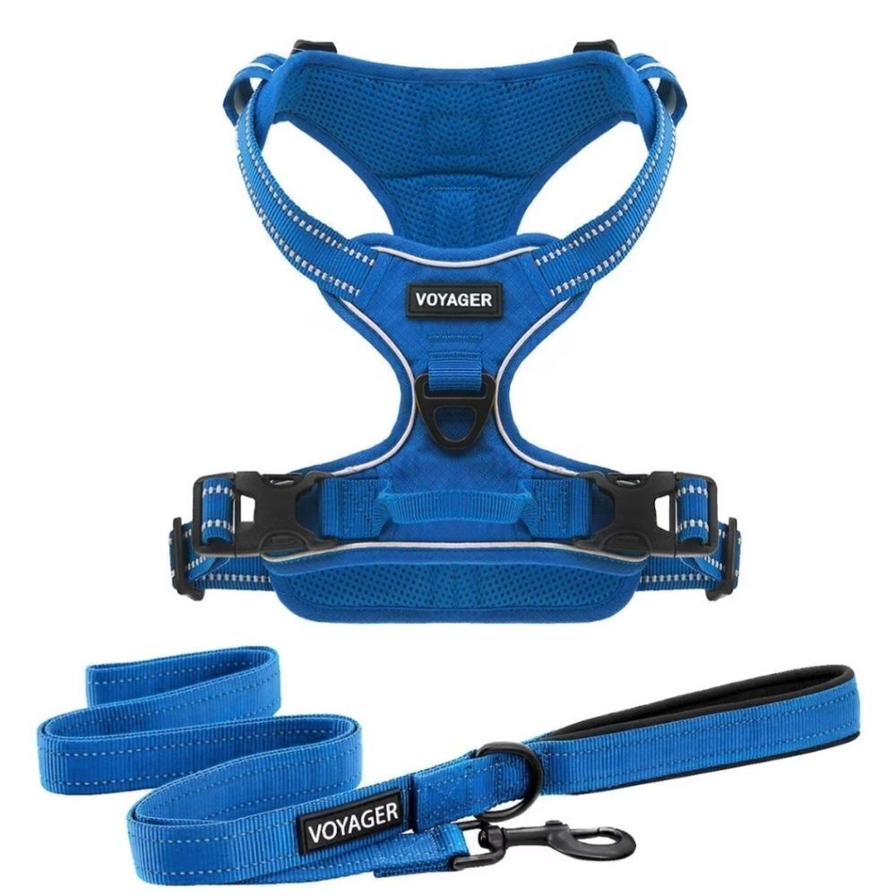 Voyager Dual Attachment Outdoor Dog Harness & Leash Bundle